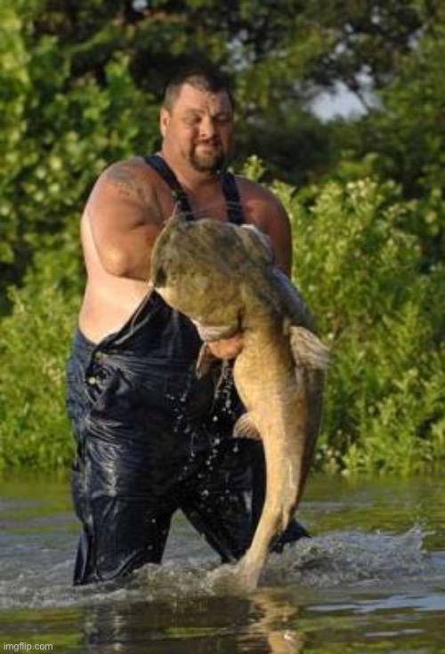 Cat Fishing | image tagged in cat fishing | made w/ Imgflip meme maker