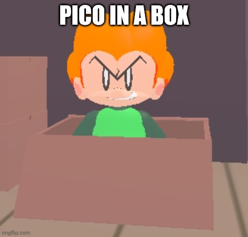 Pico In A Box | PICO IN A BOX | image tagged in pico in a box | made w/ Imgflip meme maker