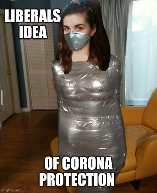 Liberals Corona protection | LIBERALS IDEA; OF CORONA PROTECTION | image tagged in liberals,stupid liberals,liberal logic,libtards,duct tape,corona virus | made w/ Imgflip meme maker