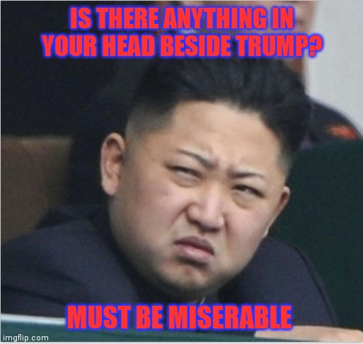 IS THERE ANYTHING IN YOUR HEAD BESIDE TRUMP? MUST BE MISERABLE | made w/ Imgflip meme maker