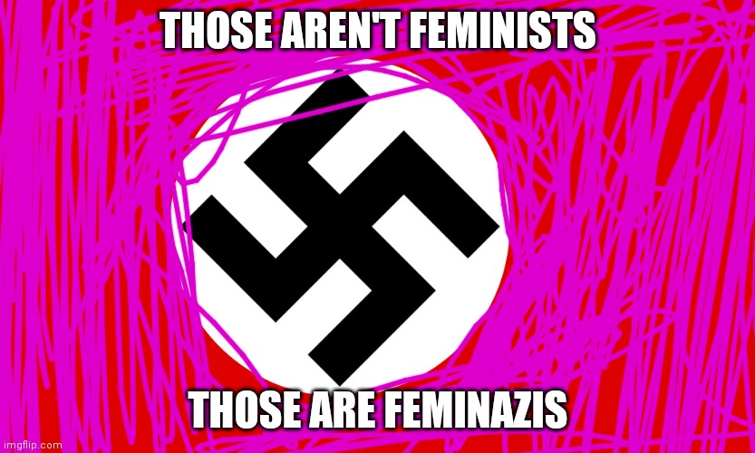 nazi flag | THOSE AREN'T FEMINISTS THOSE ARE FEMINAZIS | image tagged in nazi flag | made w/ Imgflip meme maker
