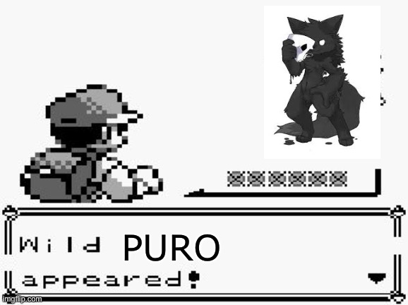 pokemon appears | PURO | image tagged in pokemon appears,puro,changed,crossover | made w/ Imgflip meme maker