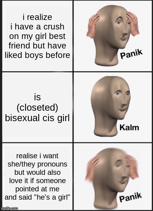uh... help | i realize i have a crush on my girl best friend but have liked boys before; is (closeted) bisexual cis girl; realise i want she/they pronouns but would also love it if someone pointed at me and said "he's a girl" | image tagged in memes,panik kalm panik,bisexual,lgbtq | made w/ Imgflip meme maker