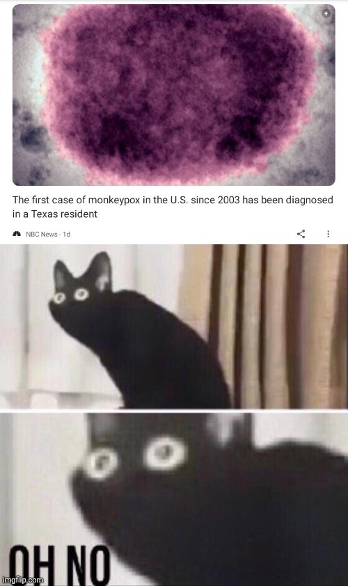 Not The Monkeypox | image tagged in oh no cat | made w/ Imgflip meme maker
