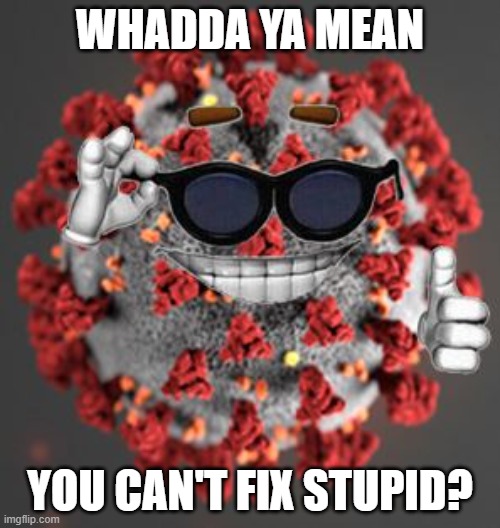 Can't fix stupid? | WHADDA YA MEAN; YOU CAN'T FIX STUPID? | image tagged in coronavirus,stupid people,cant fix | made w/ Imgflip meme maker