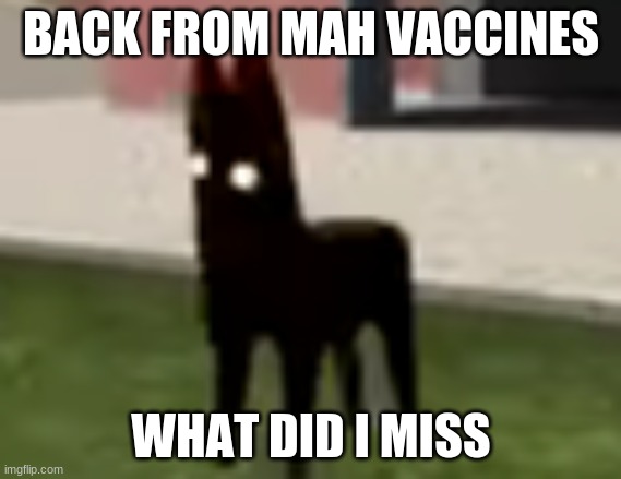 Good Boy | BACK FROM MAH VACCINES; WHAT DID I MISS | image tagged in good boy | made w/ Imgflip meme maker