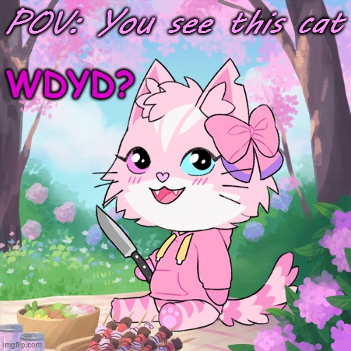 :3 | POV: You see this cat; WDYD? | made w/ Imgflip meme maker