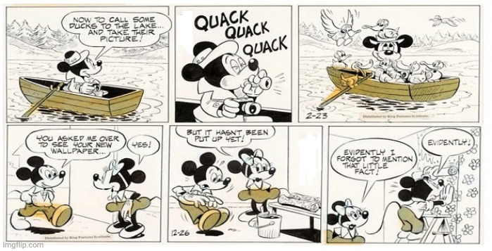 Quack quack quack | image tagged in mickey mouse,minnie mouse,comics/cartoons,comics,comic,ducks | made w/ Imgflip meme maker