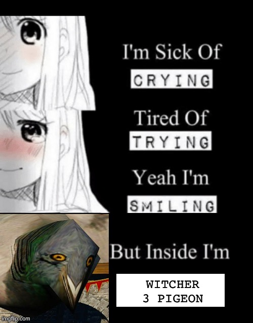 im sick of crying bla | WITCHER 3 PIGEON | image tagged in im sick of crying bla,witcher 3 | made w/ Imgflip meme maker