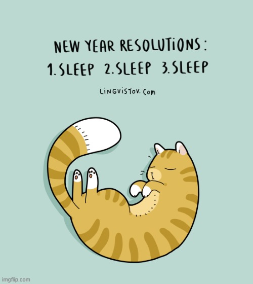 A Cat's Way Of Thinking | image tagged in memes,comics,cats,thinking,new year resolutions,sleep | made w/ Imgflip meme maker
