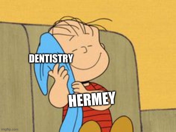 Linus and his blanket | DENTISTRY; HERMEY | image tagged in linus and his blanket,memes,funny,dentists | made w/ Imgflip meme maker