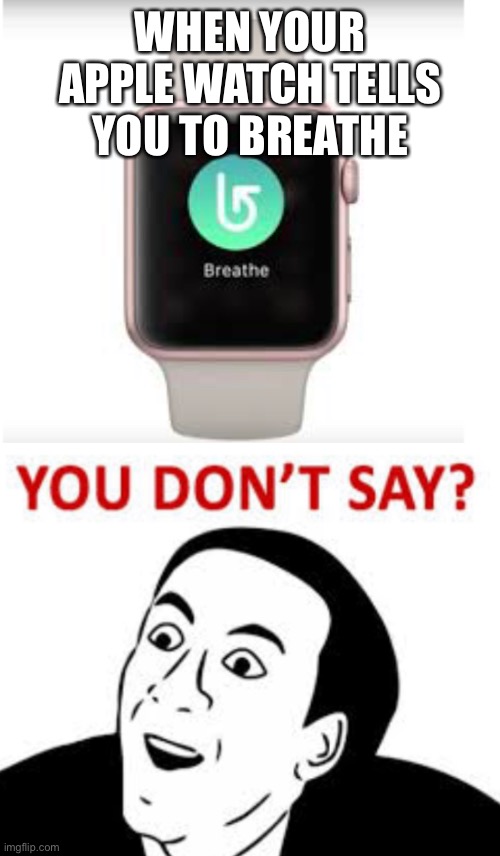 Really? | WHEN YOUR APPLE WATCH TELLS YOU TO BREATHE | image tagged in you don't say | made w/ Imgflip meme maker