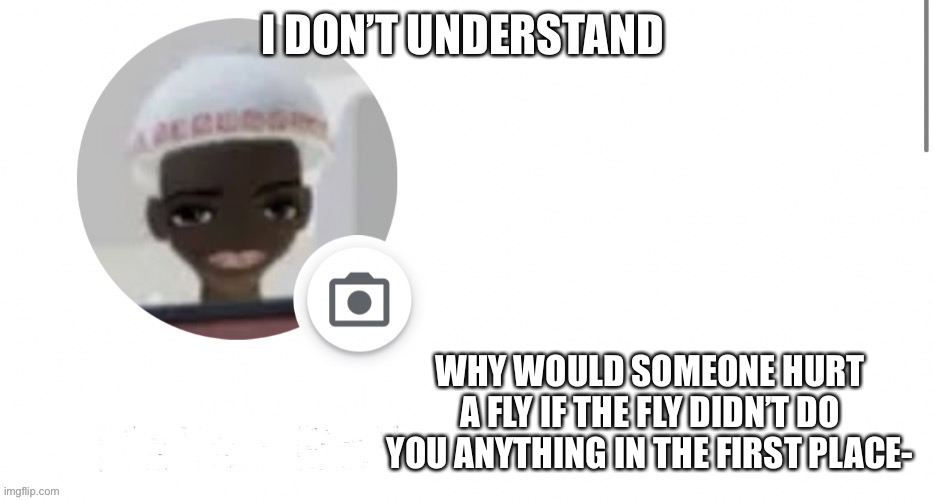 ;-; | I DON’T UNDERSTAND; WHY WOULD SOMEONE HURT A FLY IF THE FLY DIDN’T DO YOU ANYTHING IN THE FIRST PLACE- | image tagged in this temp | made w/ Imgflip meme maker
