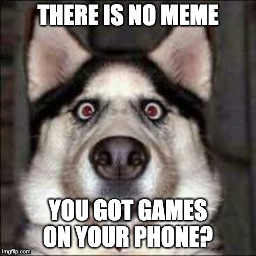 funni doggo | THERE IS NO MEME; YOU GOT GAMES ON YOUR PHONE? | image tagged in funni doggo | made w/ Imgflip meme maker