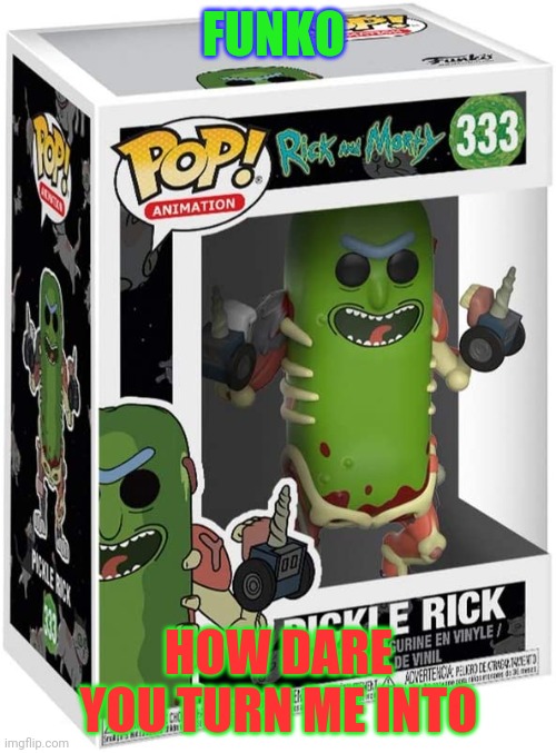 Pickle Rick pop | FUNKO; HOW DARE YOU TURN ME INTO | image tagged in funny memes | made w/ Imgflip meme maker
