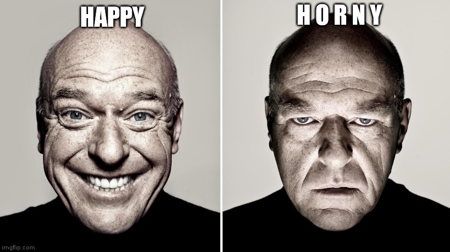 Dean Norris's reaction | H O R N Y; HAPPY | image tagged in dean norris's reaction | made w/ Imgflip meme maker