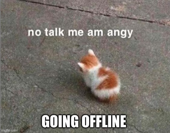 >:c | GOING OFFLINE | image tagged in no talk me am angy | made w/ Imgflip meme maker
