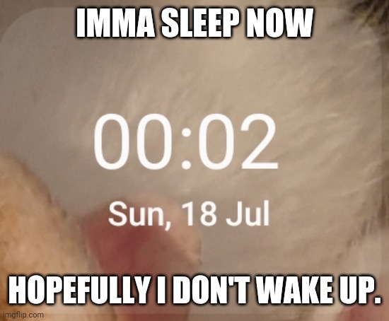 IMMA SLEEP NOW; HOPEFULLY I DON'T WAKE UP. | made w/ Imgflip meme maker
