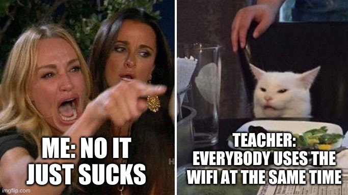Angry lady cat | ME: NO IT JUST SUCKS; TEACHER: EVERYBODY USES THE WIFI AT THE SAME TIME | image tagged in angry lady cat,summer | made w/ Imgflip meme maker