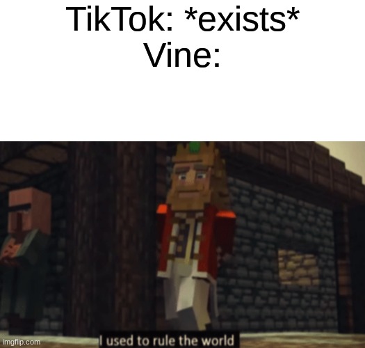 Anyone remember Vine? | TikTok: *exists*
Vine: | made w/ Imgflip meme maker