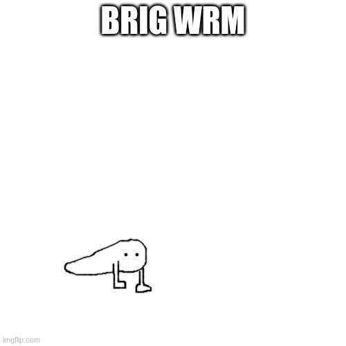 BEHOLD: BRIDGE WORM BUT TIKY | BRIG WRM | made w/ Imgflip meme maker