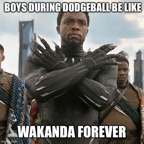 Boys be like | BOYS DURING DODGEBALL BE LIKE; WAKANDA FOREVER | image tagged in wakanda forever | made w/ Imgflip meme maker