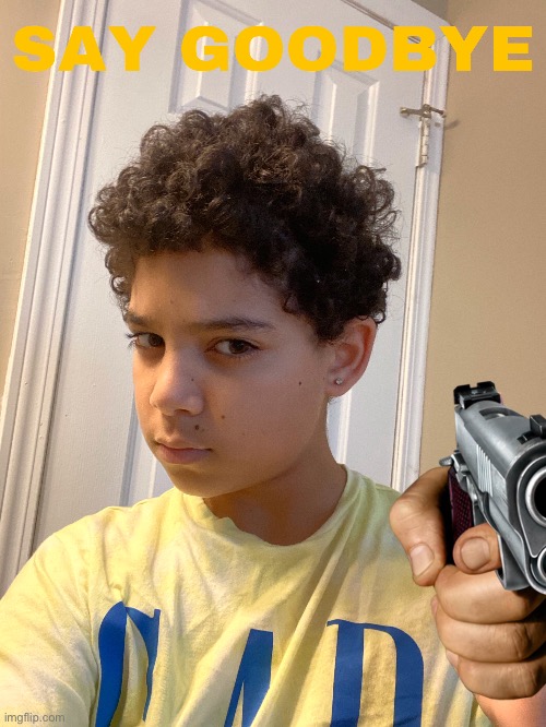 Say goodbye | image tagged in idk | made w/ Imgflip meme maker