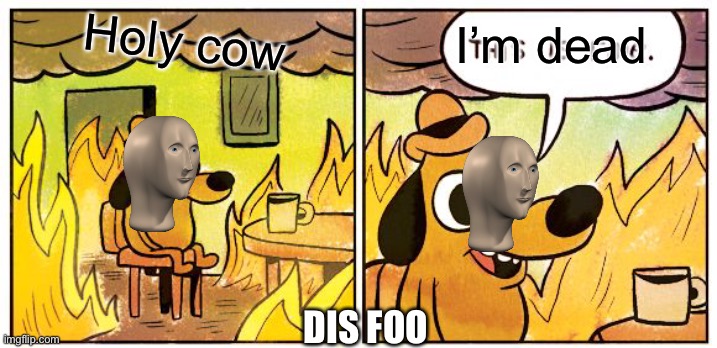 Welp that’s good I really don’t like dis meme anyway | I’m dead; Holy cow; DIS FOO | image tagged in memes,this is fine | made w/ Imgflip meme maker