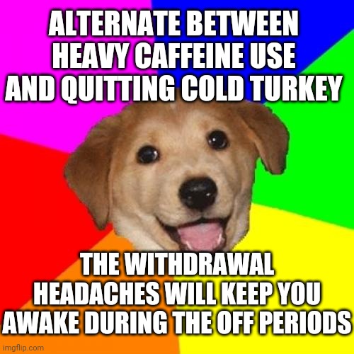 Advice Dog | ALTERNATE BETWEEN HEAVY CAFFEINE USE AND QUITTING COLD TURKEY; THE WITHDRAWAL HEADACHES WILL KEEP YOU AWAKE DURING THE OFF PERIODS | image tagged in memes,advice dog,AdviceAnimals | made w/ Imgflip meme maker