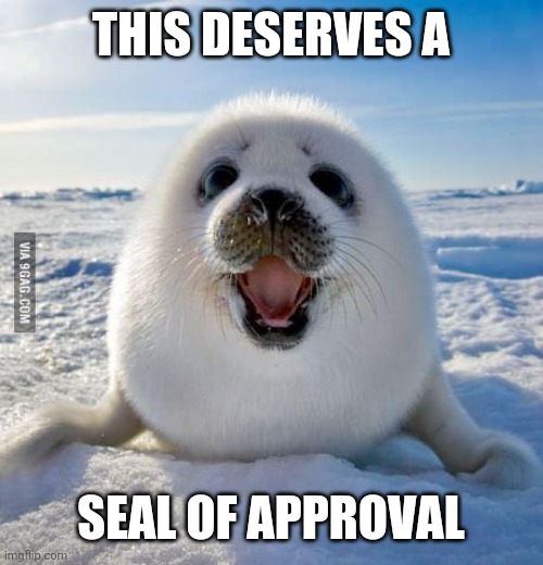 Seal of Approval | THIS DESERVES A SEAL OF APPROVAL | image tagged in seal of approval | made w/ Imgflip meme maker
