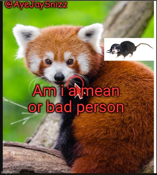 AyeJaySnizz Red Panda Announcement | Am i a mean or bad person | image tagged in ayejaysnizz red panda announcement | made w/ Imgflip meme maker