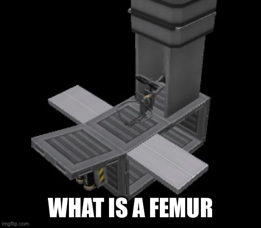 Femur Breaker | WHAT IS A FEMUR | image tagged in femur breaker | made w/ Imgflip meme maker