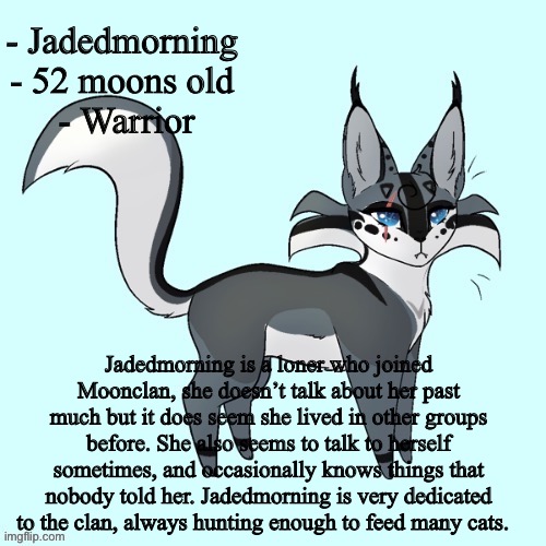 She doesn’t admit it but she is a bit ambitious | - Jadedmorning 
- 52 moons old 
- Warrior; Jadedmorning is a loner who joined Moonclan, she doesn’t talk about her past much but it does seem she lived in other groups before. She also seems to talk to herself sometimes, and occasionally knows things that nobody told her. Jadedmorning is very dedicated to the clan, always hunting enough to feed many cats. | made w/ Imgflip meme maker