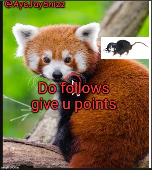 AyeJaySnizz Red Panda Announcement | Do follows give u points | image tagged in ayejaysnizz red panda announcement | made w/ Imgflip meme maker