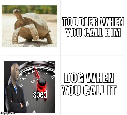 fast vs slow | TODDLER WHEN YOU CALL HIM; DOG WHEN YOU CALL IT | image tagged in fast vs slow,turtle,i am speed,memes,meme man,meme man smort | made w/ Imgflip meme maker