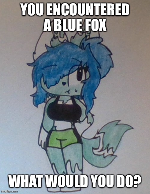 YOU ENCOUNTERED A BLUE FOX; WHAT WOULD YOU DO? | made w/ Imgflip meme maker