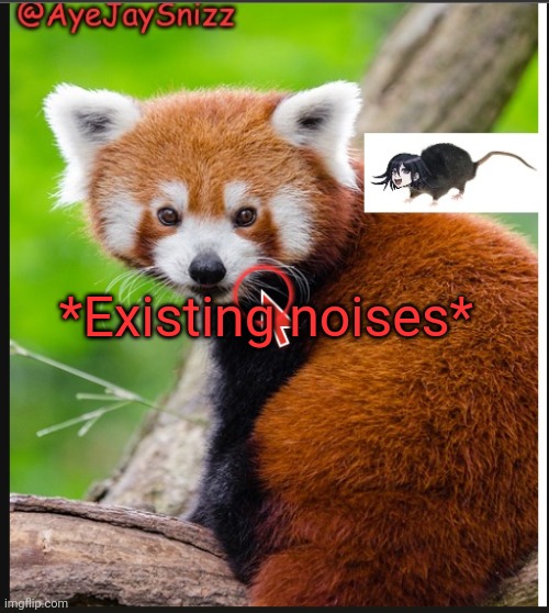AyeJaySnizz Red Panda Announcement | *Existing noises* | image tagged in ayejaysnizz red panda announcement | made w/ Imgflip meme maker