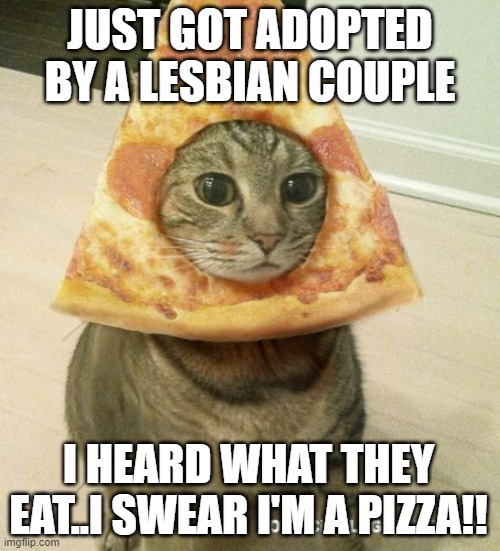 A recreation of an old meme | JUST GOT ADOPTED BY A LESBIAN COUPLE; I HEARD WHAT THEY EAT..I SWEAR I'M A PIZZA!! | image tagged in cat pizza,lgbt,lesbian,puns,memes,pizza | made w/ Imgflip meme maker