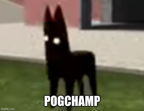 Good Boy | POGCHAMP | image tagged in good boy | made w/ Imgflip meme maker