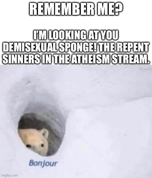 Hail Cheems | REMEMBER ME? I’M LOOKING AT YOU DEMISEXUAL SPONGE! THE REPENT SINNERS IN THE ATHEISM STREAM. | image tagged in bonjour,cheems,hail cheems,remember this guy | made w/ Imgflip meme maker
