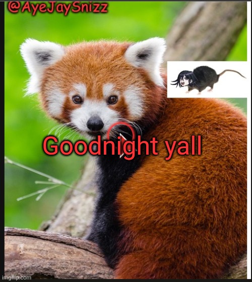 AyeJaySnizz Red Panda Announcement | Goodnight yall | image tagged in ayejaysnizz red panda announcement | made w/ Imgflip meme maker