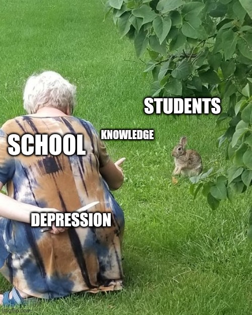 grandma hiding knife rabbit | STUDENTS; SCHOOL; KNOWLEDGE; DEPRESSION | image tagged in grandma hiding knife rabbit | made w/ Imgflip meme maker