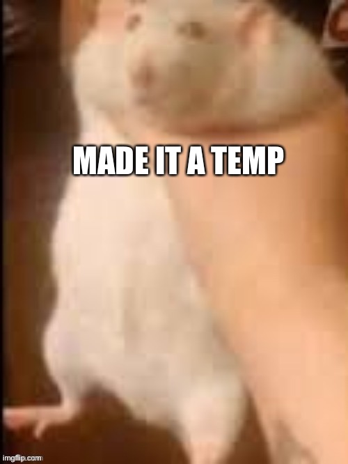 Man holding hamster | MADE IT A TEMP | image tagged in man holding hamster | made w/ Imgflip meme maker