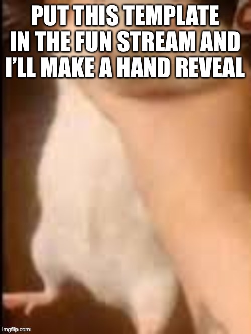 Head chopped off | PUT THIS TEMPLATE IN THE FUN STREAM AND I’LL MAKE A HAND REVEAL | image tagged in man holding hamster | made w/ Imgflip meme maker