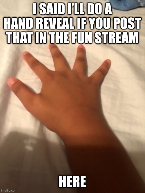 I SAID I’LL DO A HAND REVEAL IF YOU POST THAT IN THE FUN STREAM; HERE | made w/ Imgflip meme maker