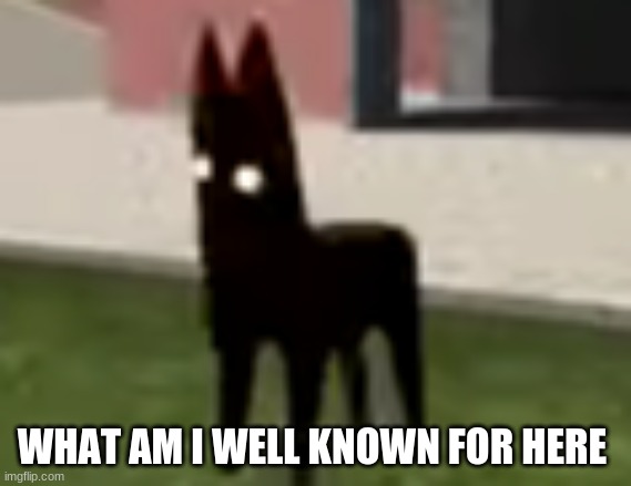 Good Boy | WHAT AM I WELL KNOWN FOR HERE | image tagged in good boy | made w/ Imgflip meme maker