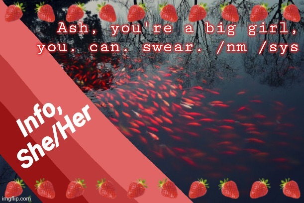 Ash, you're a big girl,
you. can. swear. /nm /sys | image tagged in info | made w/ Imgflip meme maker