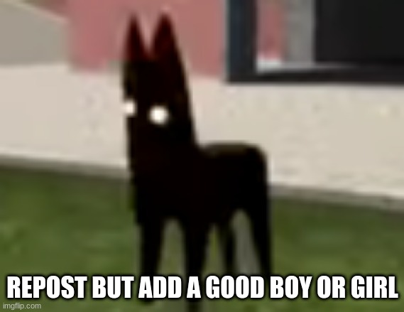 Good Boy | REPOST BUT ADD A GOOD BOY OR GIRL | image tagged in good boy | made w/ Imgflip meme maker