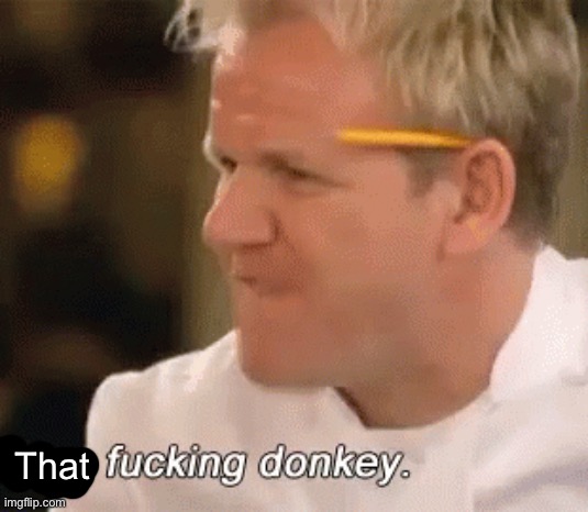 You fucking donkey | That | image tagged in you fucking donkey | made w/ Imgflip meme maker