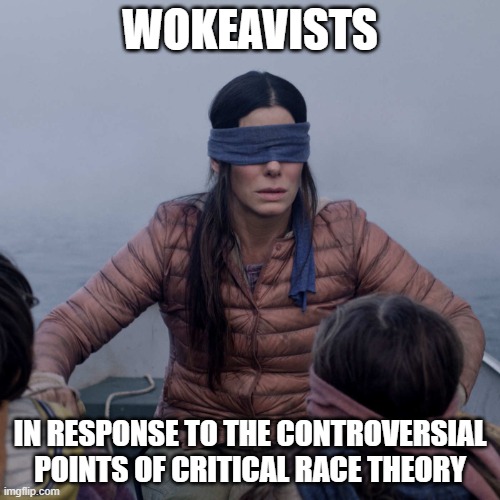 Yeeup. | WOKEAVISTS; IN RESPONSE TO THE CONTROVERSIAL POINTS OF CRITICAL RACE THEORY | image tagged in memes,bird box | made w/ Imgflip meme maker